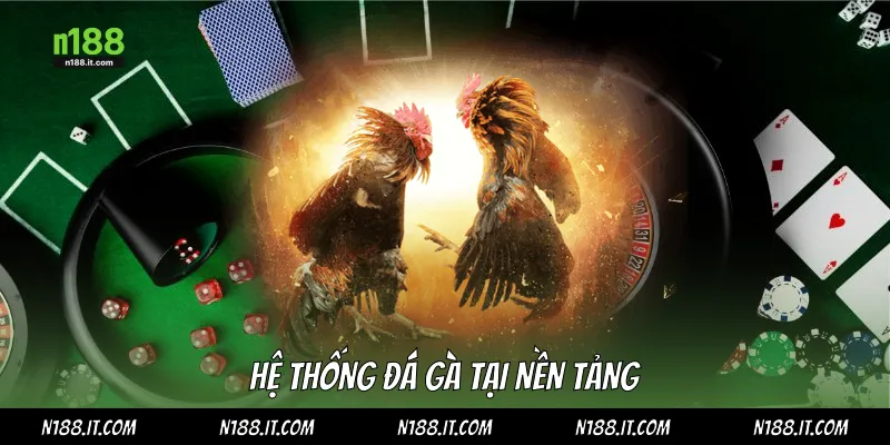 Hệ thống đá gà tại nền tảng