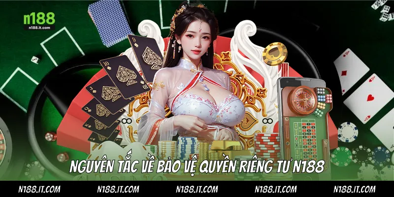 Nguyên tắc về bảo vệ quyền riêng tư N188