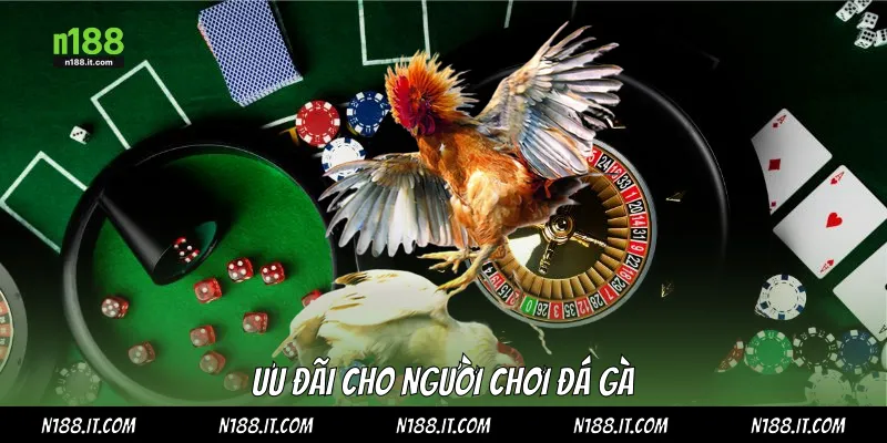 Ưu đãi cho người chơi đá gà